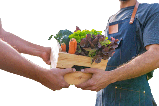 Vegetables