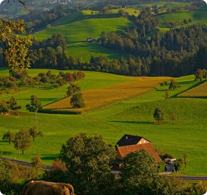 Beautiful farm landscape